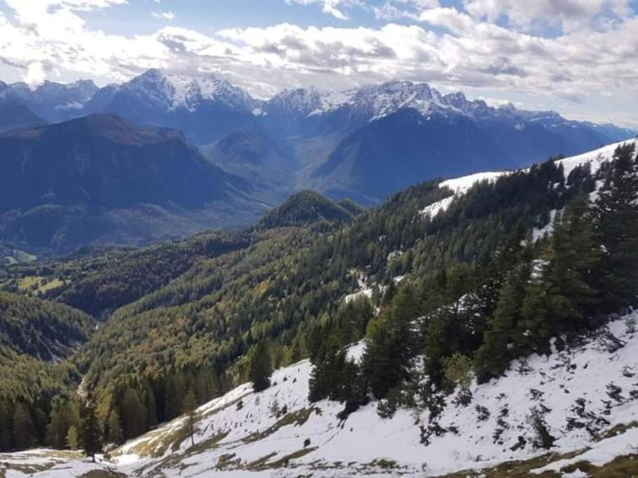 A In The Alps For Hiking, Cycling, Skiing Holiday home *