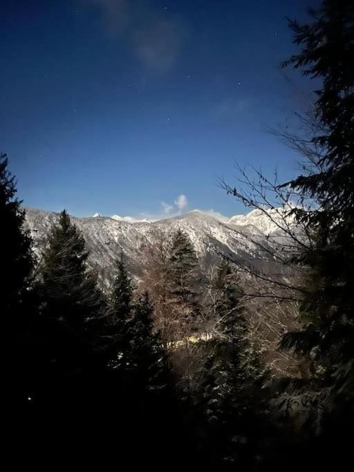 A In The Alps For Hiking, Cycling, Skiing