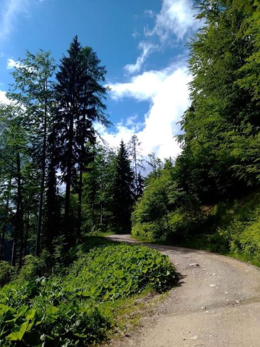 A In The Alps For Hiking, Cycling, Skiing