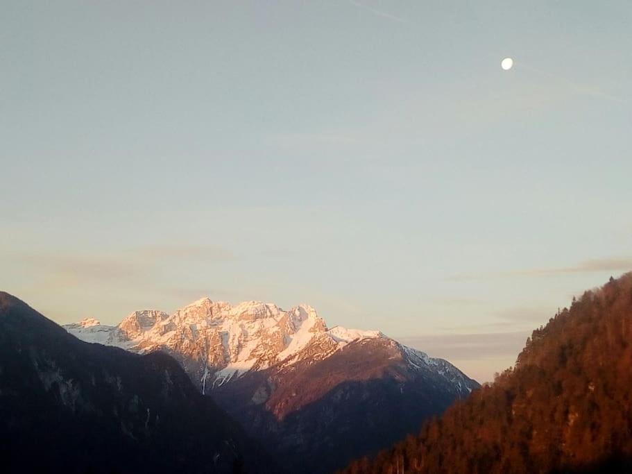 Holiday home A In The Alps For Hiking, Cycling, Skiing Jesenice