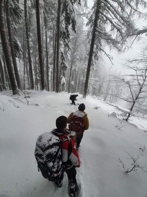 A In The Alps For Hiking, Cycling, Skiing Holiday home Jesenice