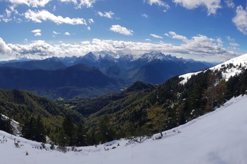 A In The Alps For Hiking, Cycling, Skiing * Jesenice