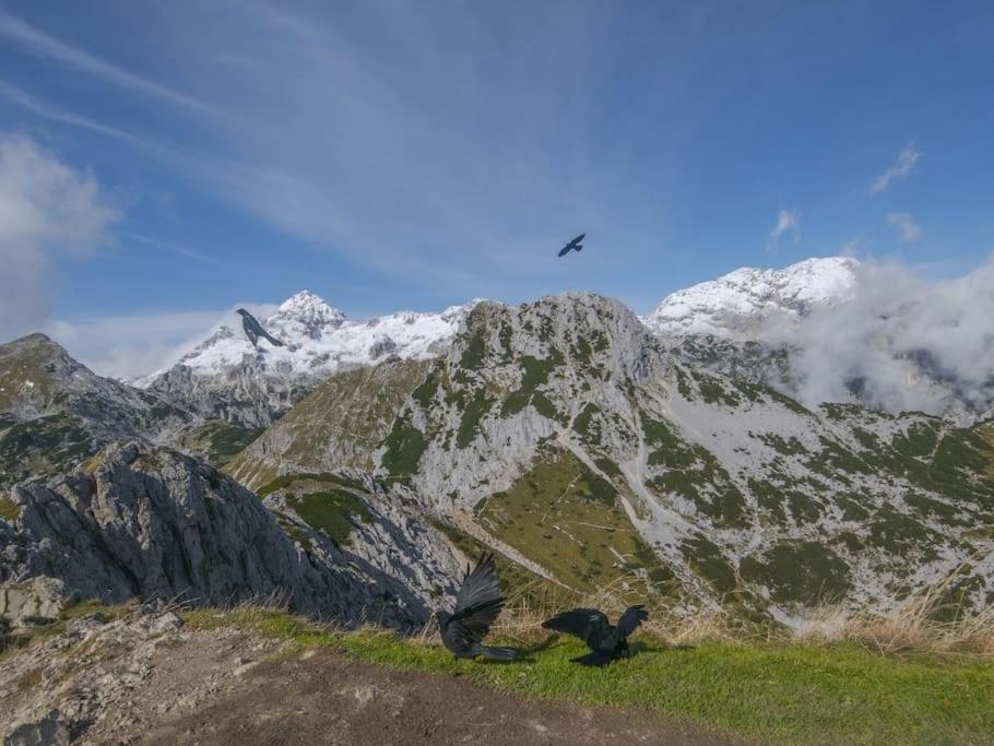 A In The Alps For Hiking, Cycling, Skiing