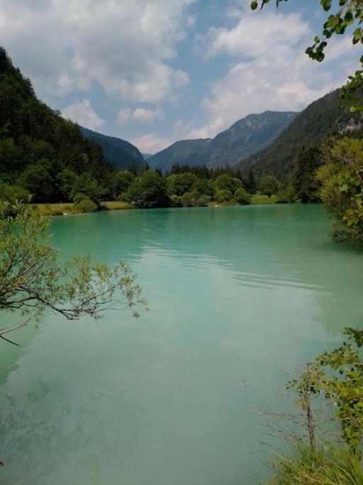 A In The Alps For Hiking, Cycling, Skiing Holiday home Jesenice